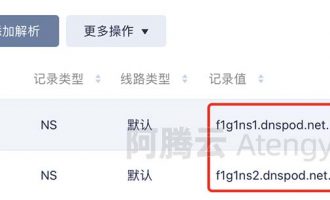 f1g1ns1.dnspod.net是什么？