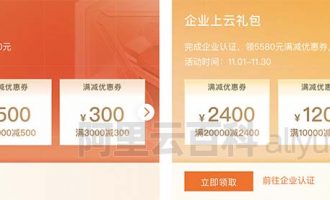 阿里云双十一代金券企业/个人领取8940元大礼包