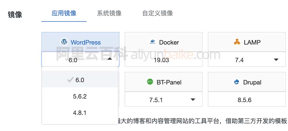 应用镜像选择WordPress