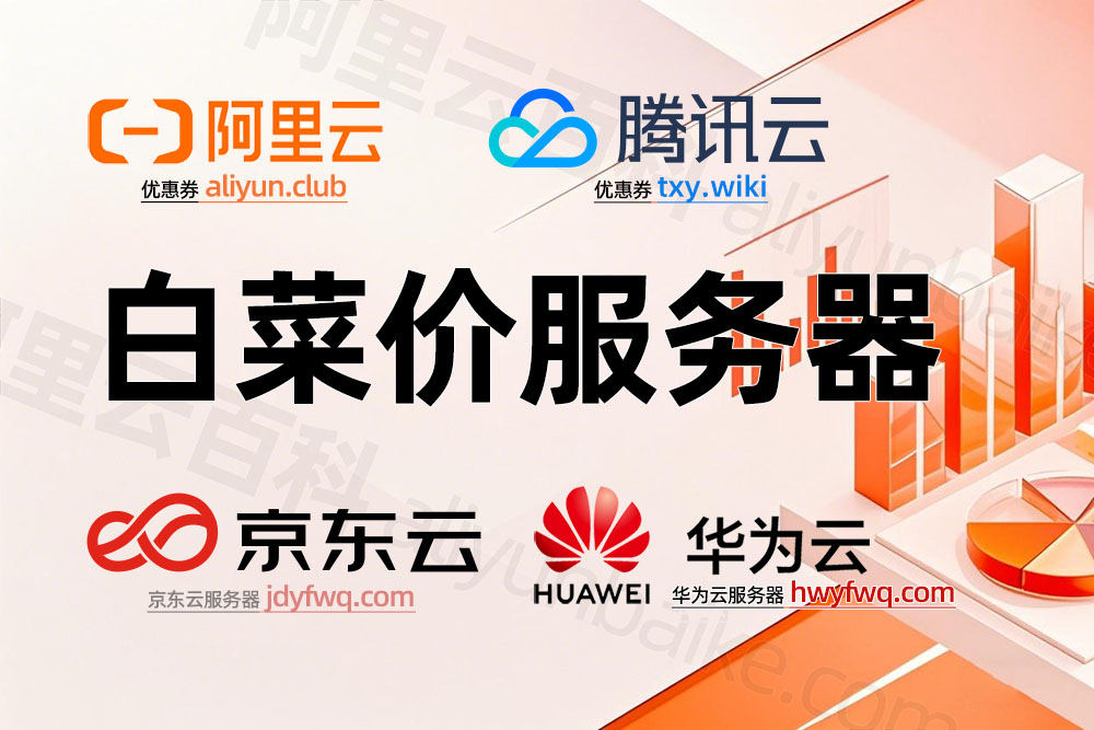 2025最新白菜价云服务器优惠