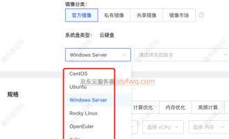 京东云服务器镜像选择Windows还是Linux操作系统？看完秒懂