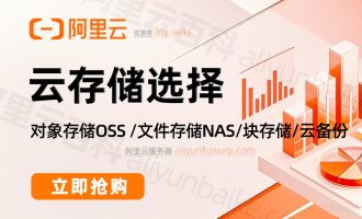 公司采购阿里云用于数据存储，可以选择哪些存储云产品？