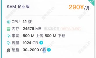 雨云服务器KVM企业版12核24G内存500M带宽优惠价格290元1个月