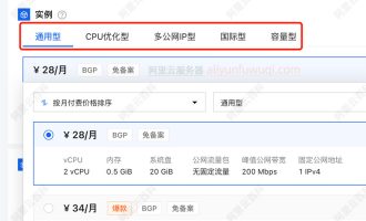 阿里云轻量应用服务器：通用型、CPU优化、多公网IP、国际型及容量型区别对比