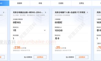 阿里云无影云电脑多少钱一个月？自己看吧