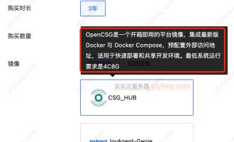 使用京东云服务器快速搭建OpenCSG人工智能大模型